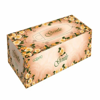 &nbsp;Салфетки бумажные двухслойные вытяжные